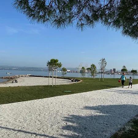 At Alex קופר